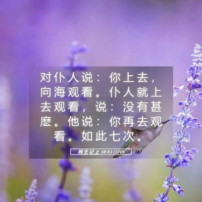 Picture 05 - 列 王 记 上 18:43 CUVS - 对 仆 人 说 ： 你 上 去 ， 向 海 观 - Bible Verse Picture