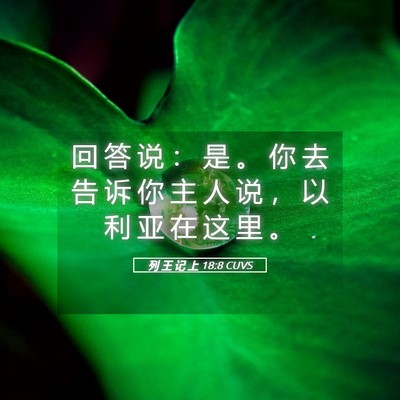Picture 05 - 列 王 记 上 18:8 CUVS - 回 答 说 ： 是 。 你 去 告 诉 你 主 - Bible Verse Picture