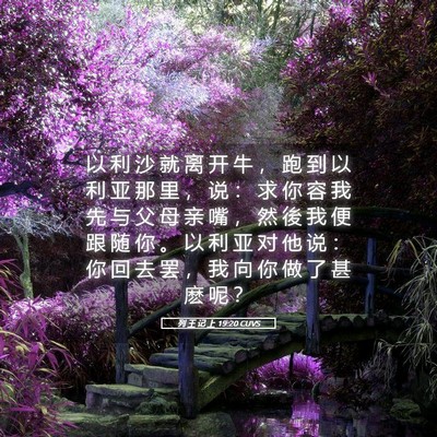 Picture 05 - 列 王 记 上 19:20 CUVS - 以 利 沙 就 离 开 牛 ， 跑 到 以 利 - Bible Verse Picture