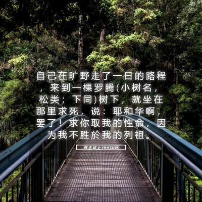 Picture 05 - 列 王 记 上 19:4 CUVS - 自 己 在 旷 野 走 了 一 日 的 路 程 - Bible Verse Picture