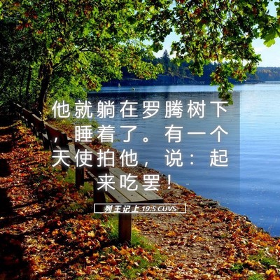Picture 05 - 列 王 记 上 19:5 CUVS - 他 就 躺 在 罗 腾 树 下 ， 睡 着 了 - Bible Verse Picture