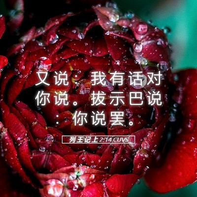 Picture 05 - 列 王 记 上 2:14 CUVS - 又 说 ： 我 有 话 对 你 说 。 拔 示 - Bible Verse Picture