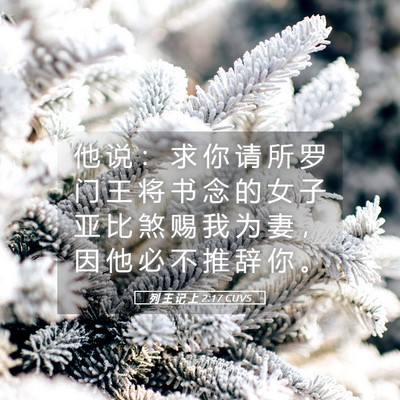 Picture 05 - 列 王 记 上 2:17 CUVS - 他 说 ： 求 你 请 所 罗 门 王 将 书 - Bible Verse Picture