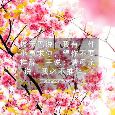 Picture 05 - 列 王 记 上 2:20 CUVS - 拔 示 巴 说 ： 我 有 一 件 小 事 求 - Bible Verse Picture