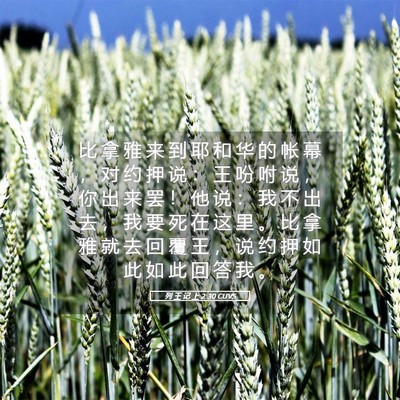 Picture 05 - 列 王 记 上 2:30 CUVS - 比 拿 雅 来 到 耶 和 华 的 帐 幕 ， - Bible Verse Picture