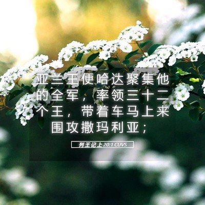 Picture 05 - 列 王 记 上 20:1 CUVS - 亚 兰 王 便 哈 达 聚 集 他 的 全 军 - Bible Verse Picture