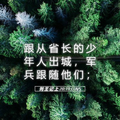 Picture 05 - 列 王 记 上 20:19 CUVS - 跟 从 省 长 的 少 年 人 出 城 ， 军 - Bible Verse Picture