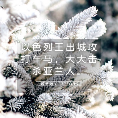 Picture 05 - 列 王 记 上 20:21 CUVS - 以 色 列 王 出 城 攻 打 车 马 ， 大 - Bible Verse Picture