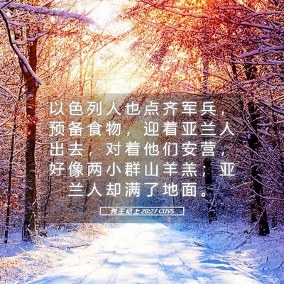 Picture 05 - 列 王 记 上 20:27 CUVS - 以 色 列 人 也 点 齐 军 兵 ， 预 备 - Bible Verse Picture