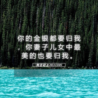 Picture 05 - 列 王 记 上 20:3 CUVS - 你 的 金 银 都 要 归 我 ， 你 妻 子 - Bible Verse Picture
