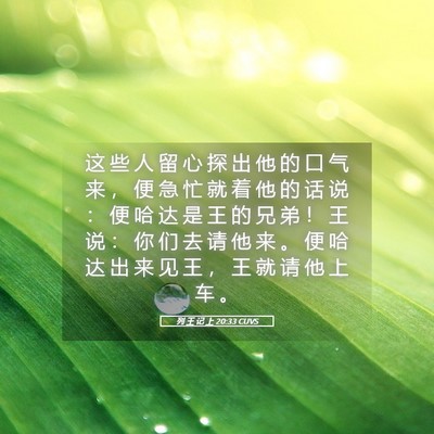Picture 05 - 列 王 记 上 20:33 CUVS - 这 些 人 留 心 探 出 他 的 口 气 来 - Bible Verse Picture