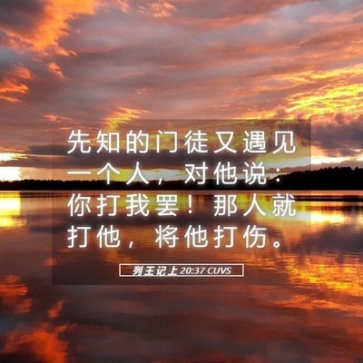 Picture 05 - 列 王 记 上 20:37 CUVS - 先 知 的 门 徒 又 遇 见 一 个 人 ， - Bible Verse Picture