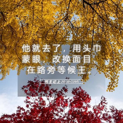 Picture 05 - 列 王 记 上 20:38 CUVS - 他 就 去 了 ， 用 头 巾 蒙 眼 ， 改 - Bible Verse Picture