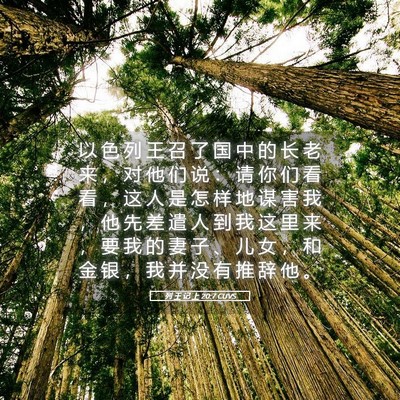 Picture 05 - 列 王 记 上 20:7 CUVS - 以 色 列 王 召 了 国 中 的 长 老 来 - Bible Verse Picture