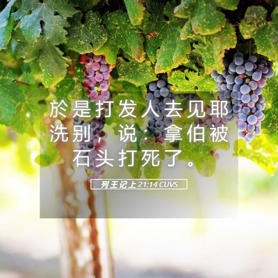 Picture 05 - 列 王 记 上 21:14 CUVS - 於 是 打 发 人 去 见 耶 洗 别 ， 说 - Bible Verse Picture