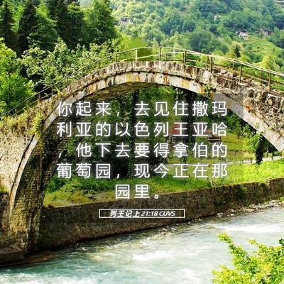 Picture 05 - 列 王 记 上 21:18 CUVS - 你 起 来 ， 去 见 住 撒 玛 利 亚 的 - Bible Verse Picture