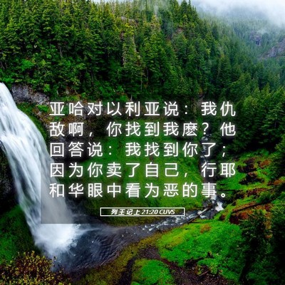 Picture 05 - 列 王 记 上 21:20 CUVS - 亚 哈 对 以 利 亚 说 ： 我 仇 敌 啊 - Bible Verse Picture