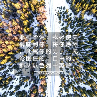 Picture 05 - 列 王 记 上 21:21 CUVS - 耶 和 华 说 ： 我 必 使 灾 祸 临 到 - Bible Verse Picture