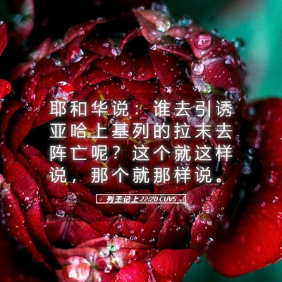 Picture 05 - 列 王 记 上 22:20 CUVS - 耶 和 华 说 ： 谁 去 引 诱 亚 哈 上 - Bible Verse Picture