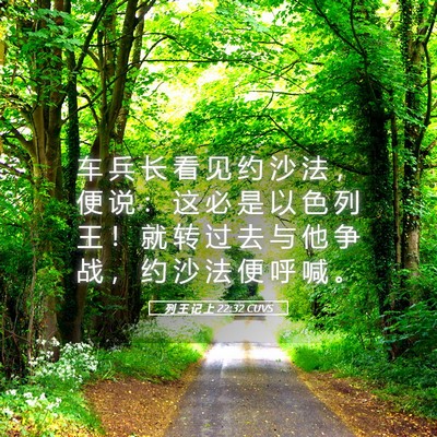 Picture 05 - 列 王 记 上 22:32 CUVS - 车 兵 长 看 见 约 沙 法 ， 便 说 ： - Bible Verse Picture