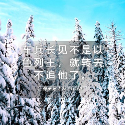 Picture 05 - 列 王 记 上 22:33 CUVS - 车 兵 长 见 不 是 以 色 列 王 ， 就 - Bible Verse Picture