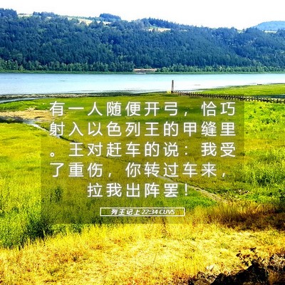 Picture 05 - 列 王 记 上 22:34 CUVS - 有 一 人 随 便 开 弓 ， 恰 巧 射 入 - Bible Verse Picture
