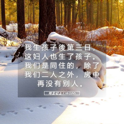 Picture 05 - 列 王 记 上 3:18 CUVS - 我 生 孩 子 後 第 三 日 ， 这 妇 人 - Bible Verse Picture