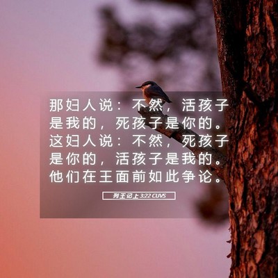Picture 05 - 列 王 记 上 3:22 CUVS - 那 妇 人 说 ： 不 然 ， 活 孩 子 是 - Bible Verse Picture