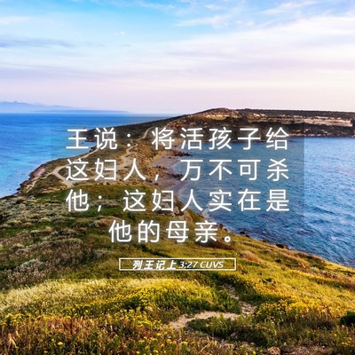 Picture 05 - 列 王 记 上 3:27 CUVS - 王 说 ： 将 活 孩 子 给 这 妇 人 ， - Bible Verse Picture