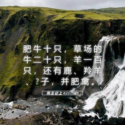 Picture 05 - 列 王 记 上 4:23 CUVS - 肥 牛 十 只 ， 草 场 的 牛 二 十 只 - Bible Verse Picture