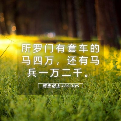 Picture 05 - 列 王 记 上 4:26 CUVS - 所 罗 门 有 套 车 的 马 四 万 ， 还 - Bible Verse Picture