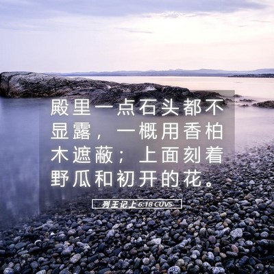 Picture 05 - 列 王 记 上 6:18 CUVS - 殿 里 一 点 石 头 都 不 显 露 ， 一 - Bible Verse Picture