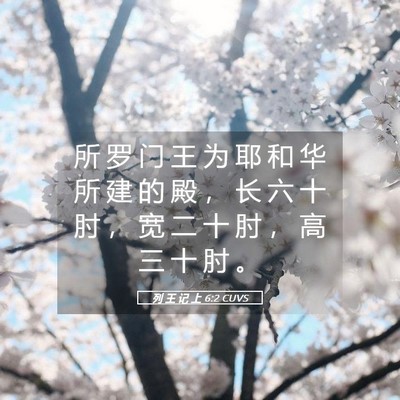 Picture 05 - 列 王 记 上 6:2 CUVS - 所 罗 门 王 为 耶 和 华 所 建 的 殿 - Bible Verse Picture