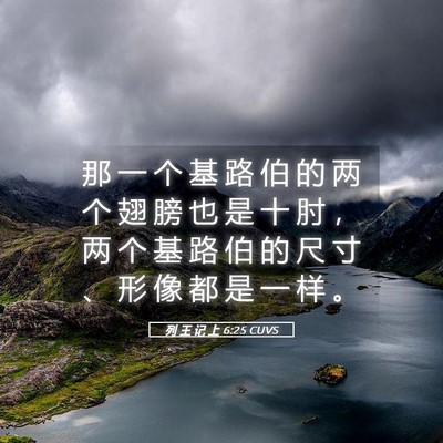 Picture 05 - 列 王 记 上 6:25 CUVS - 那 一 个 基 路 伯 的 两 个 翅 膀 也 - Bible Verse Picture