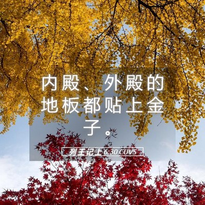 Picture 05 - 列 王 记 上 6:30 CUVS - 内 殿 、 外 殿 的 地 板 都 贴 上 金 - Bible Verse Picture