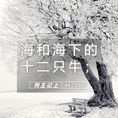 Picture 05 - 列 王 记 上 7:44 CUVS - 海 和 海 下 的 十 二 只 牛 - Bible Verse Picture
