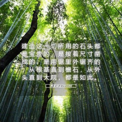 Picture 05 - 列 王 记 上 7:9 CUVS - 建 造 这 一 切 所 用 的 石 头 都 是 - Bible Verse Picture