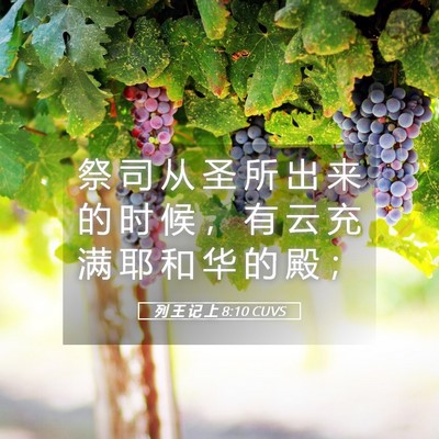 Picture 05 - 列 王 记 上 8:10 CUVS - 祭 司 从 圣 所 出 来 的 时 候 ， 有 - Bible Verse Picture