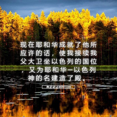Picture 05 - 列 王 记 上 8:20 CUVS - 现 在 耶 和 华 成 就 了 他 所 应 许 - Bible Verse Picture
