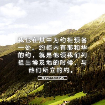 Picture 05 - 列 王 记 上 8:21 CUVS - 我 也 在 其 中 为 约 柜 预 备 一 处 - Bible Verse Picture