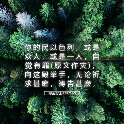 Picture 05 - 列 王 记 上 8:38 CUVS - 你 的 民 以 色 列 ， 或 是 众 人 ， - Bible Verse Picture