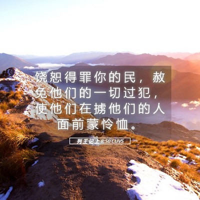 Picture 05 - 列 王 记 上 8:50 CUVS - 饶 恕 得 罪 你 的 民 ， 赦 免 他 们 - Bible Verse Picture
