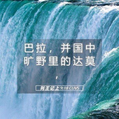 Picture 05 - 列 王 记 上 9:18 CUVS - 巴 拉 ， 并 国 中 旷 野 里 的 达 莫 - Bible Verse Picture