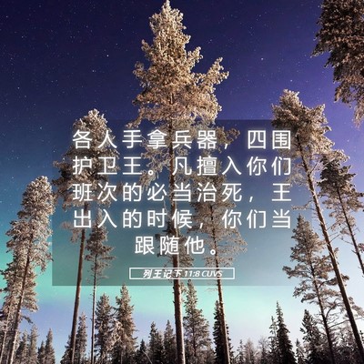Picture 05 - 列 王 记 下 11:8 CUVS - 各 人 手 拿 兵 器 ， 四 围 护 卫 王 - Bible Verse Picture