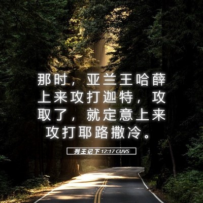 Picture 05 - 列 王 记 下 12:17 CUVS - 那 时 ， 亚 兰 王 哈 薛 上 来 攻 打 - Bible Verse Picture