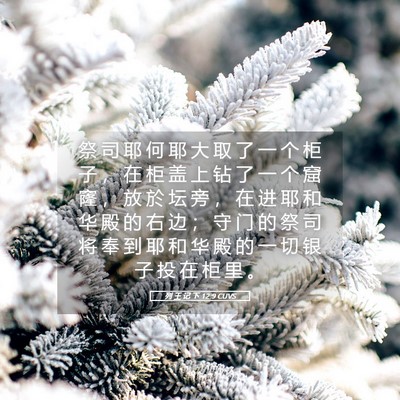 Picture 05 - 列 王 记 下 12:9 CUVS - 祭 司 耶 何 耶 大 取 了 一 个 柜 子 - Bible Verse Picture