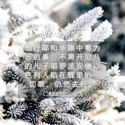 Picture 05 - 列 王 记 下 13:11 CUVS - 他 行 耶 和 华 眼 中 看 为 恶 的 事 - Bible Verse Picture