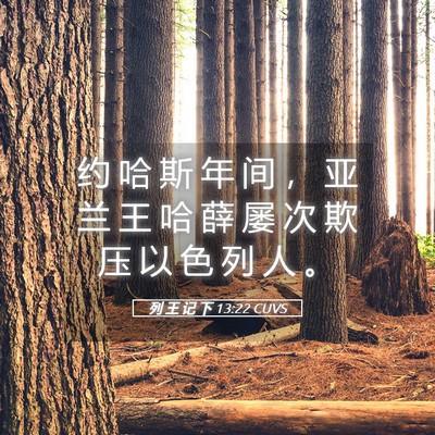 Picture 05 - 列 王 记 下 13:22 CUVS - 约 哈 斯 年 间 ， 亚 兰 王 哈 薛 屡 - Bible Verse Picture