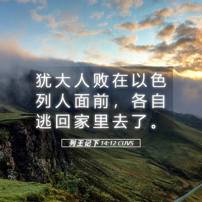 Picture 05 - 列 王 记 下 14:12 CUVS - 犹 大 人 败 在 以 色 列 人 面 前 ， - Bible Verse Picture