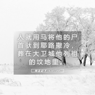 Picture 05 - 列 王 记 下 14:20 CUVS - 人 就 用 马 将 他 的 尸 首 驮 到 耶 - Bible Verse Picture
